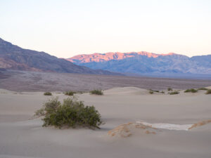 Death Valley trip: Mequite Dunes sunrise