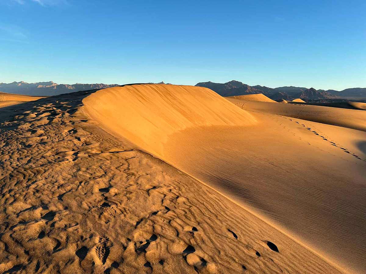 Death Valley Mesquite Dunes at sunrise.