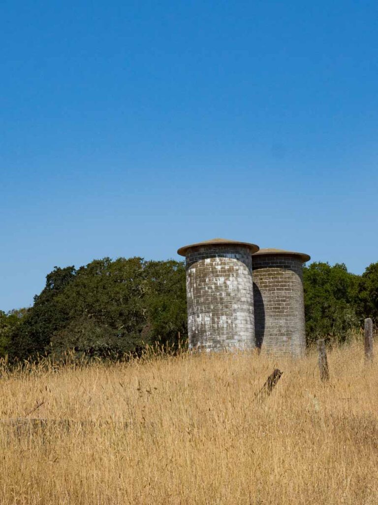 Jack London State Park hay field