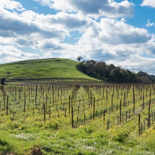 10 Things to Do in South Lake Tahoe in the Winter For Non Skiers