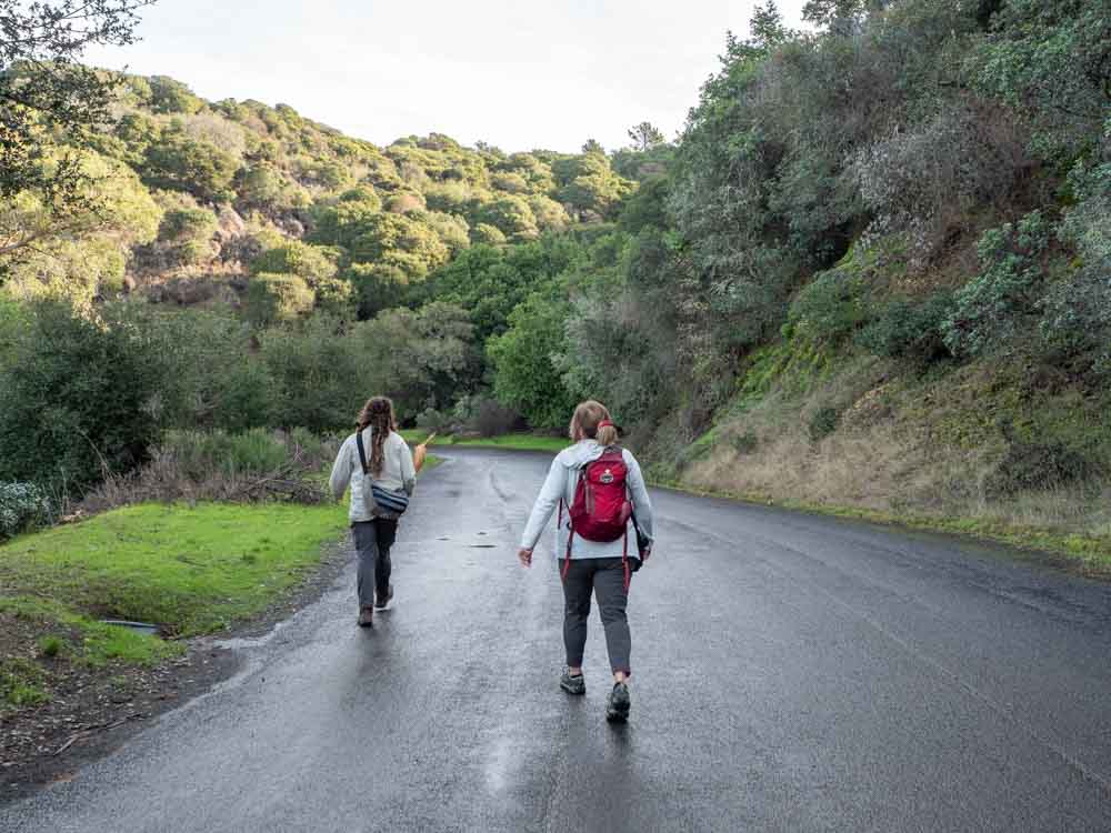 Things to do on Angel Island: hiking perimeter road