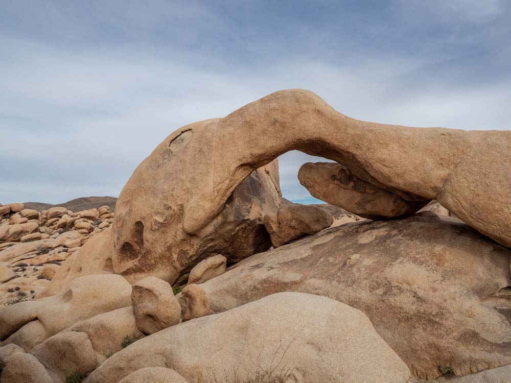 Joshua Tree National Park Arch Rock