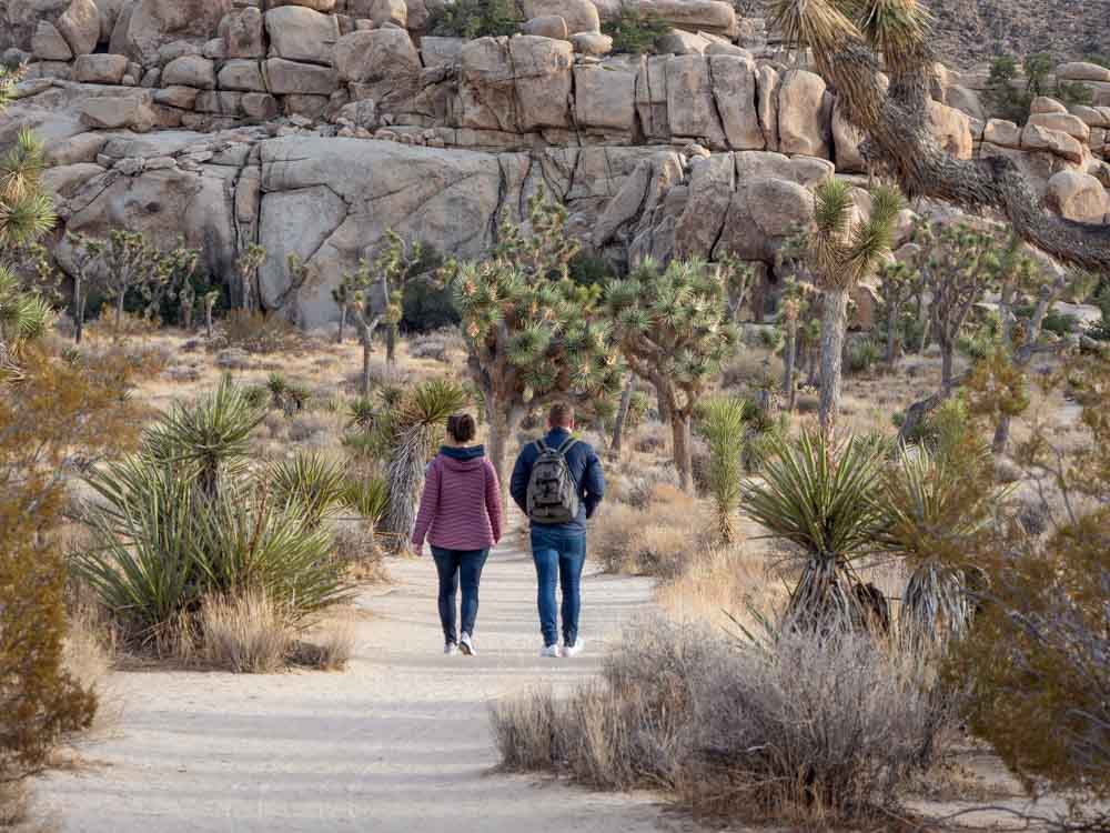 A day in Joshua Tree: Barker Dam loop trail. two people hiking in the desert