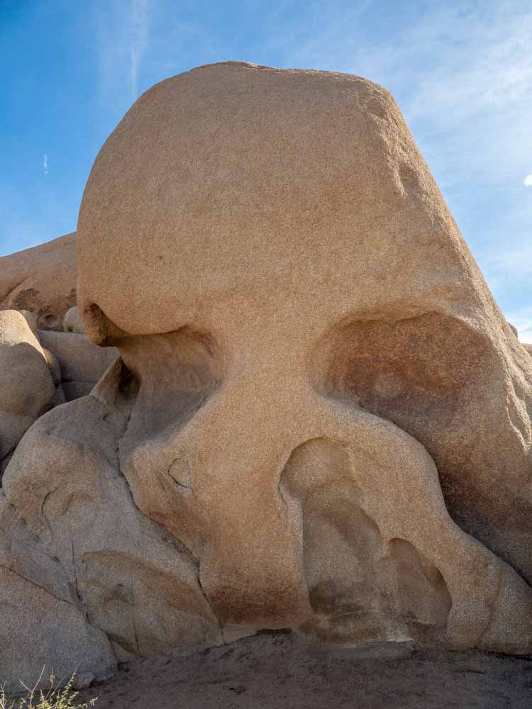 Joshua Tree, skull rock