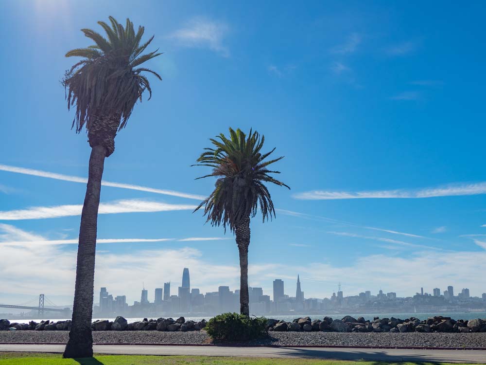 Treasure Island views of San Francisco with palm trees