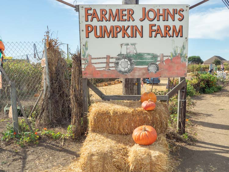 Half Moon Bay Farmer John's pumpkin farm