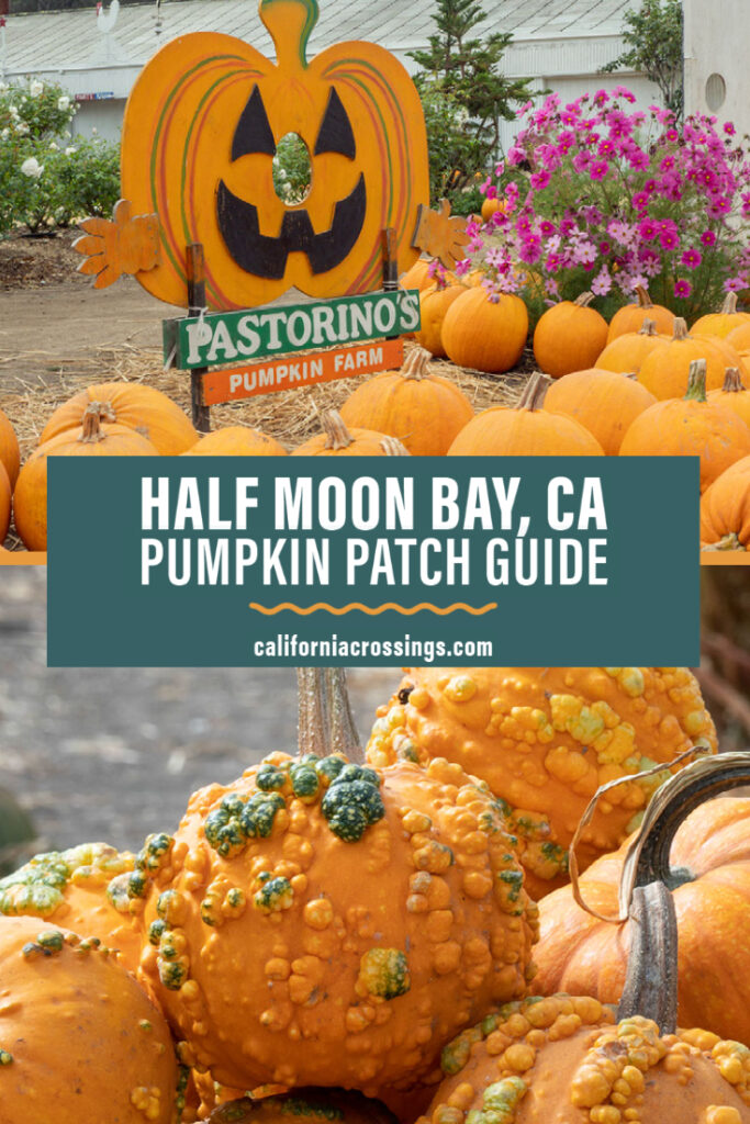 The best pumpkin patches in Half Moon Bay, California