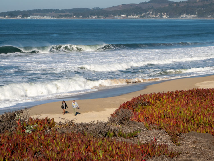 Half Moon Bay State Beach / Northern California / California