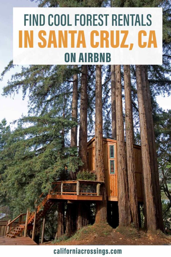 Cool forest rentals in Santa Cruz on Airbnb. cabin in forest