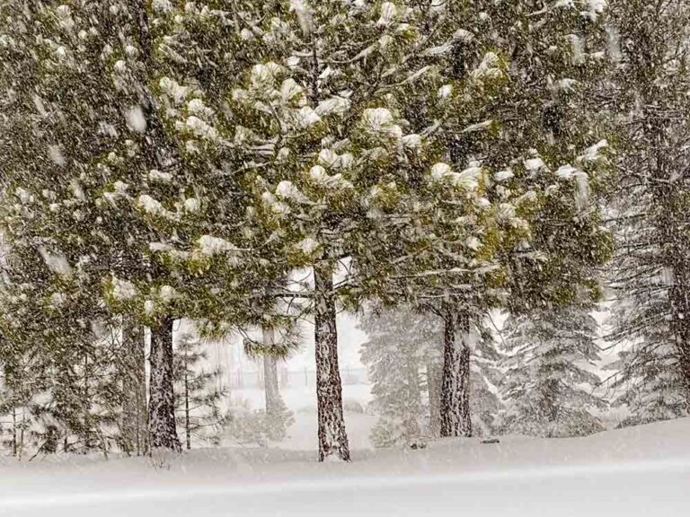 10 Things to Do in South Lake Tahoe in the Winter For Non Skiers