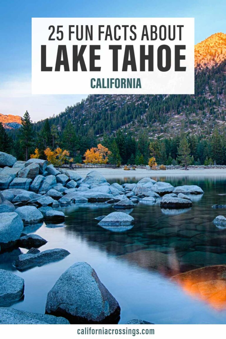 25 Fun Facts about Lake Tahoe That Will Surprise You