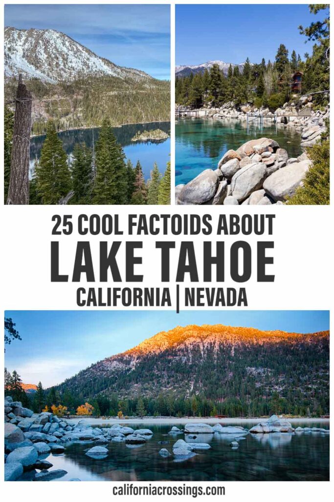 25 cool facts about Lake Tahoe California Nevada. Lake and pine trees