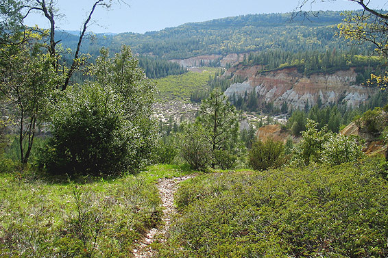 Trail in Malakoff Diggins state park with pine trees and cliffs in the distance