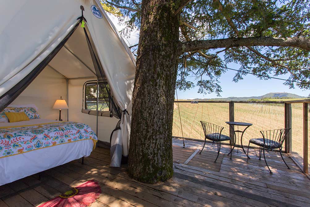 Santa Cruz glamping tree house in vineyard