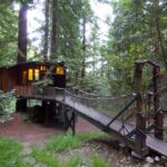 11 Woodsy Santa Cruz Tree Houses to Rent
