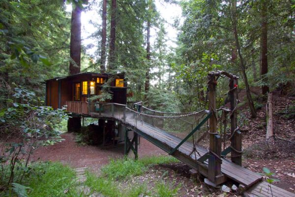 Santa Cruz redwood treehouse. cabin with walkway