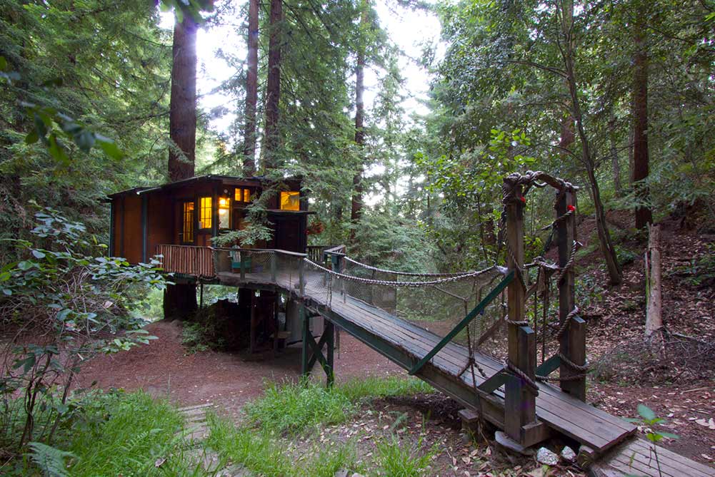 Santa Cruz redwood treehouse. cabin with walkway