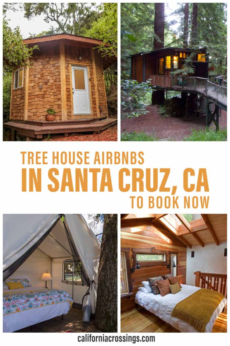 11 Woodsy Santa Cruz Tree Houses to Rent