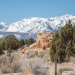 Your Highway 395 Road Trip Itinerary: Everything You Need to Plan a Trip