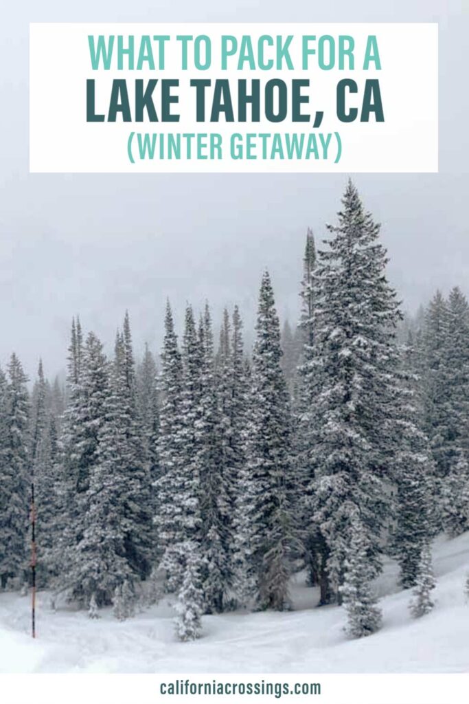 What to pack for Lake Tahoe in the winter- snow and pine trees