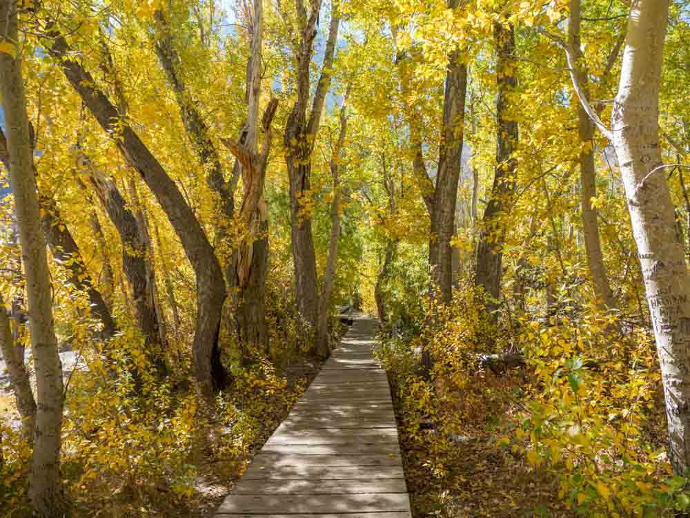 Highway 395 in fall Convict Lake eastern boardwalk