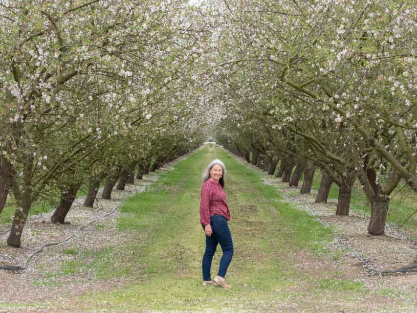 How to Experience California's Blooming Almond Orchards