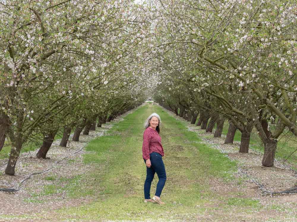 Woman in blooming field of almond trees in California