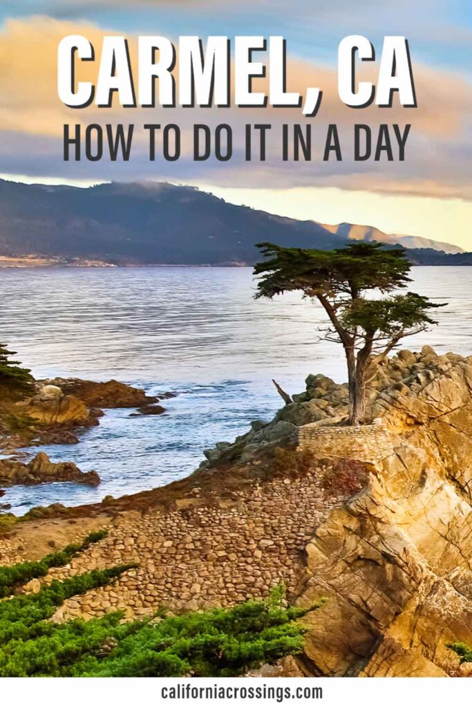 Carmel California day trip- how to do it in a day. ocean and cypress tree