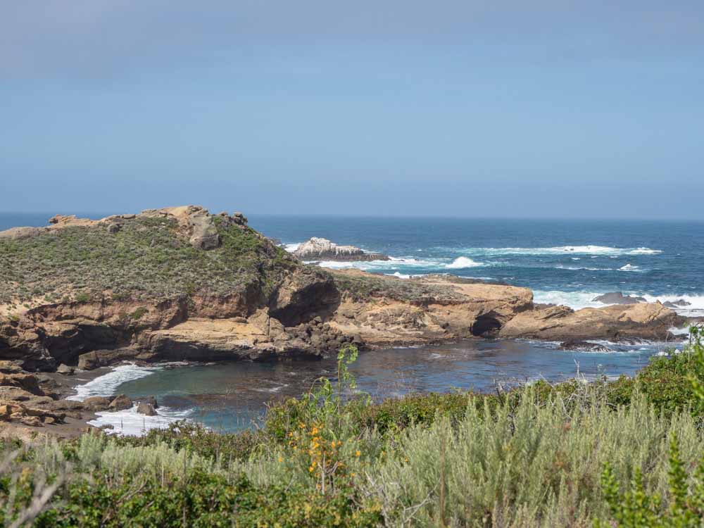 Big Sur day trip to Point Lobos. rocky bay and grasses