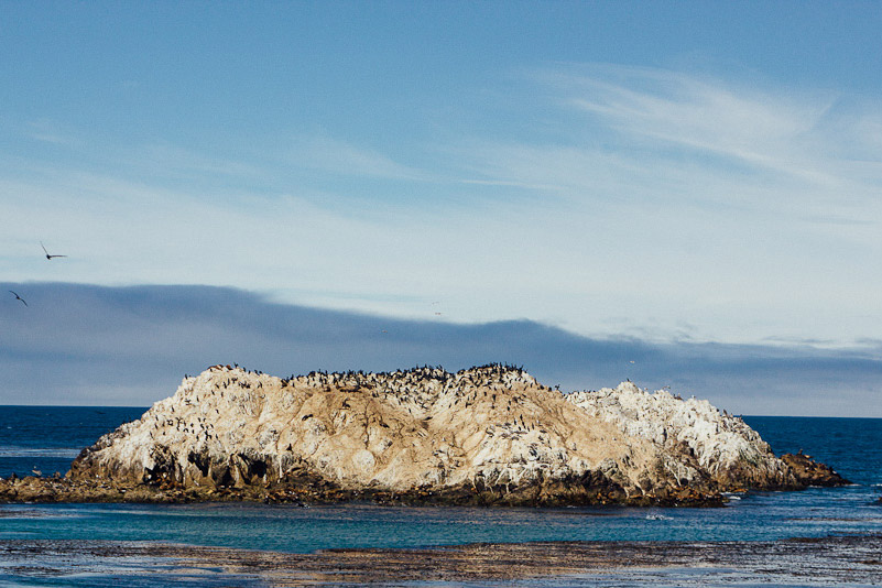 day trip to Carmel 17 mile drive. ocean scene with rock