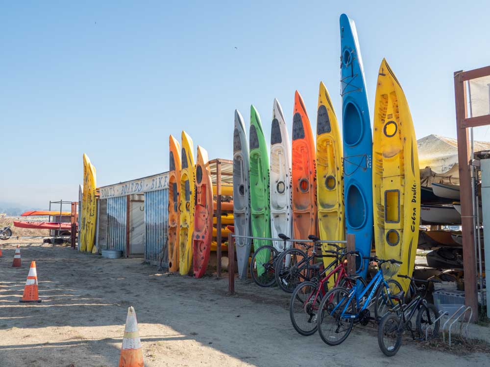 Half Moon Bay Kayak rental in Pillar Point harbor. multi colored boats lined up