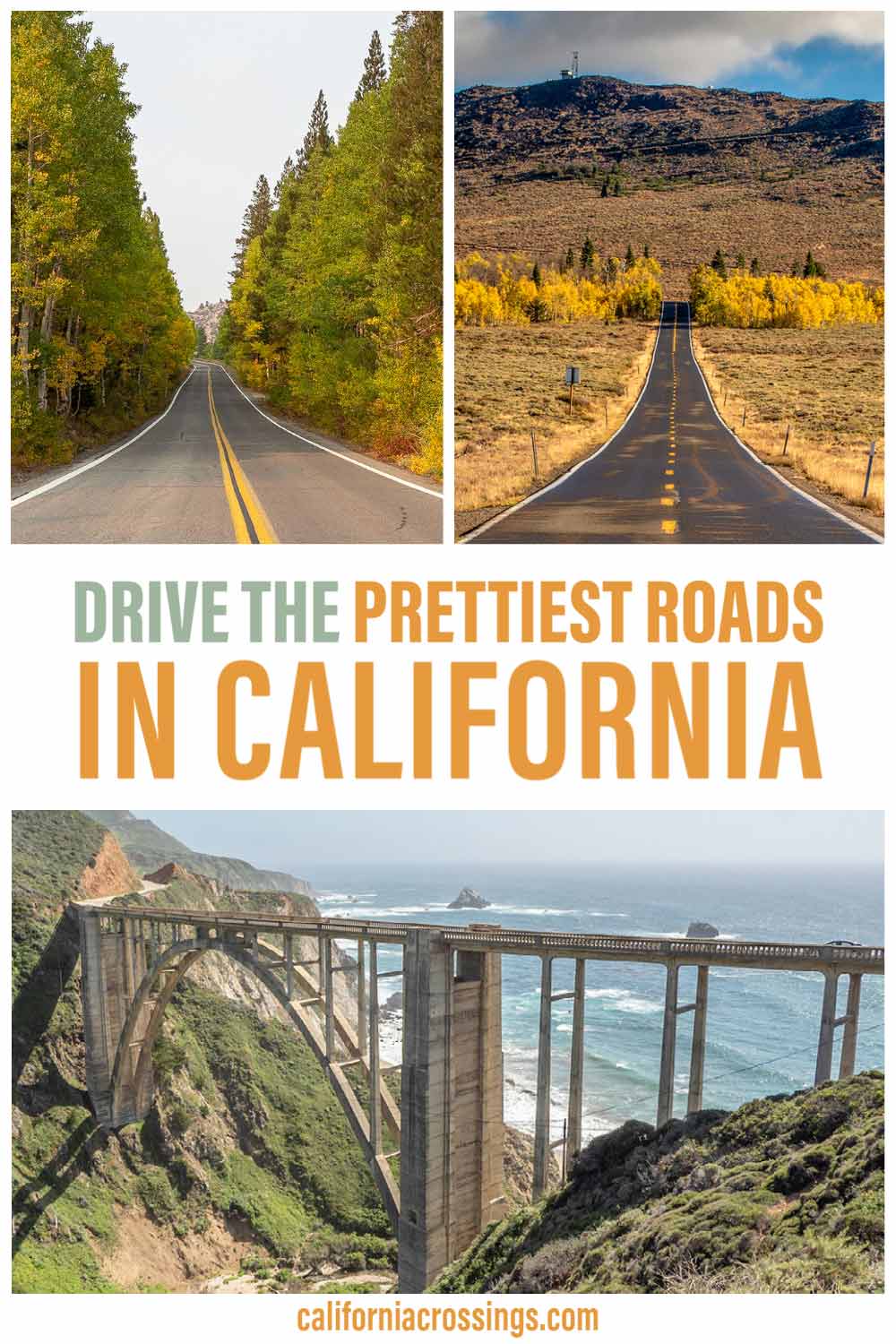 tourist can drive in california