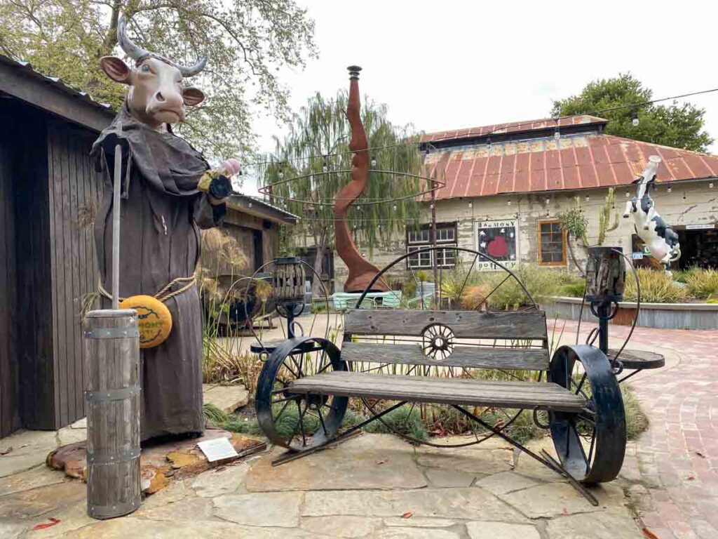 Courtyard garden in Harmony, CA