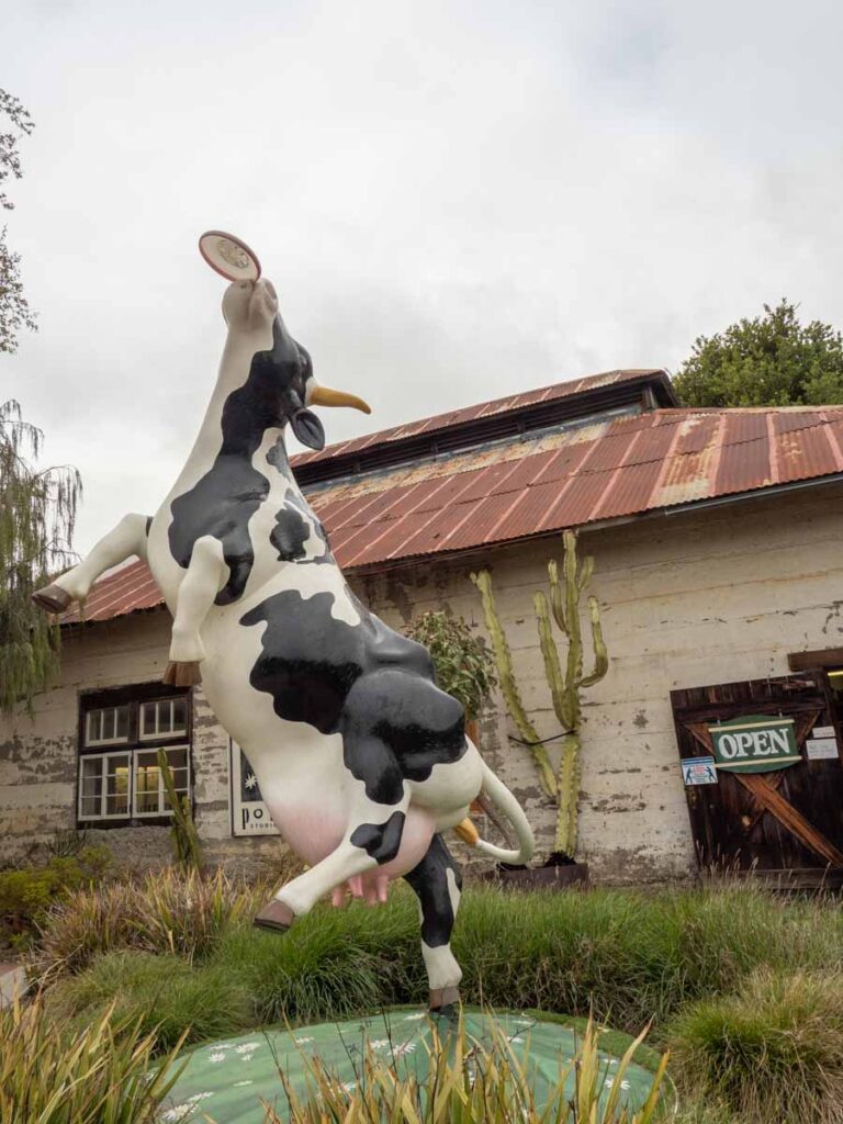 Harmony town's cow sculpture. Cow playing frisbee