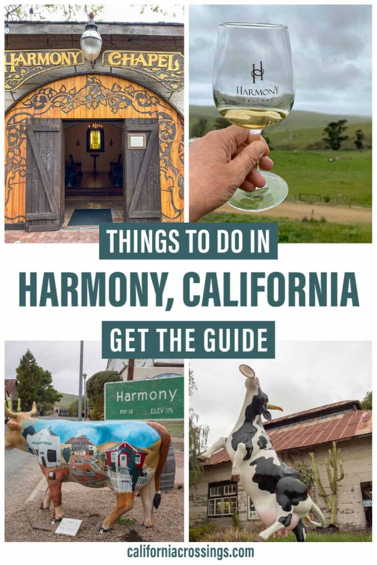 Discover Quirky Harmony, California The Central Coast's Tiniest Town