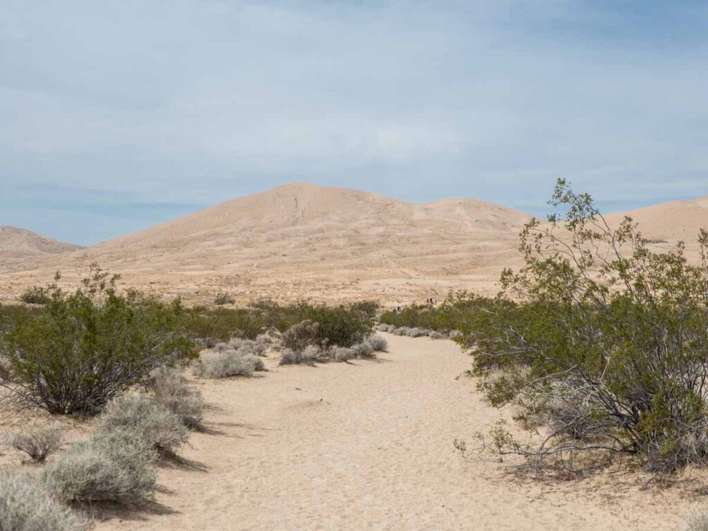 Mohave National Reserve Kelso Dunes