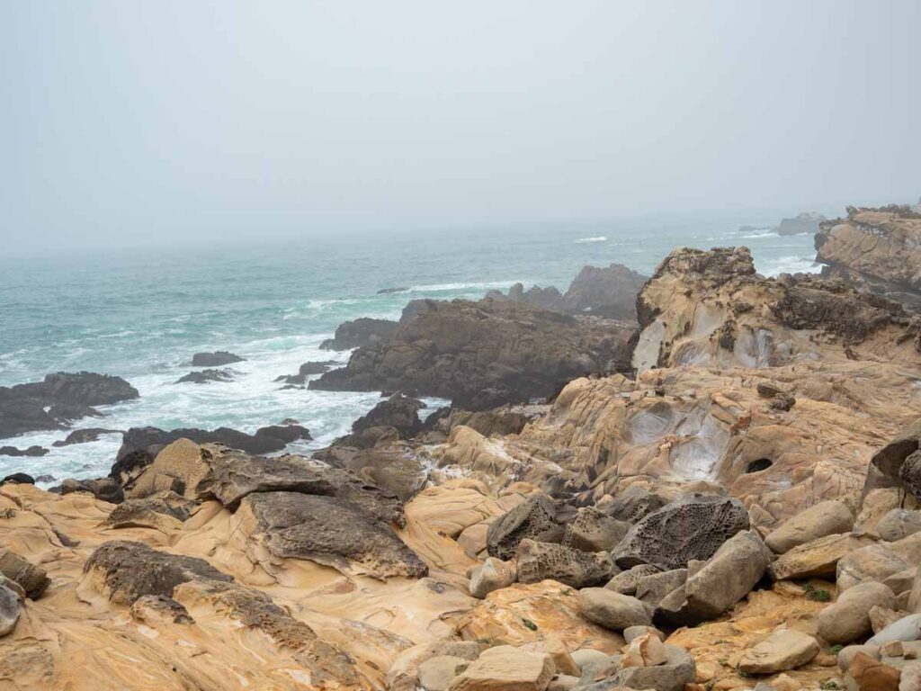 Salt Point State Park Sandstone coastline