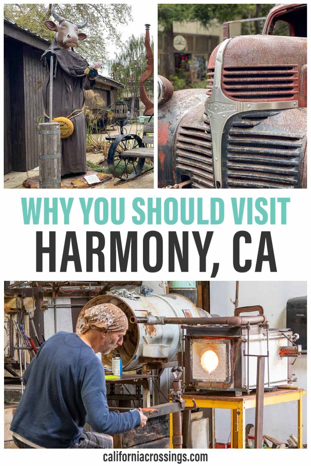 Why you should visit Harmony California