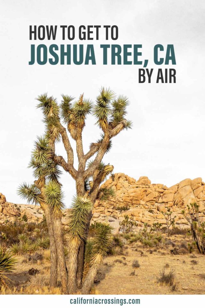 Joshua Tree closest airport