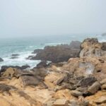 Salt Point State Park: Hiking & Camping Guide