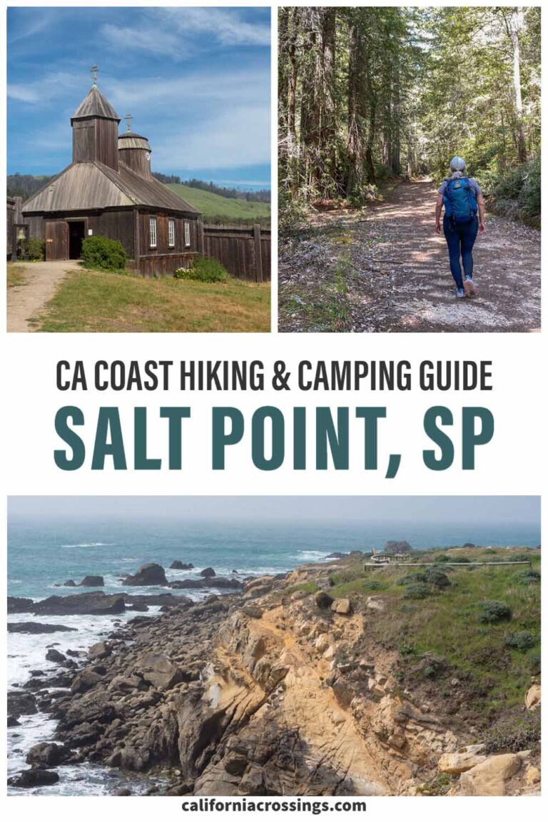 Salt Point State Park Hiking & Camping Guide