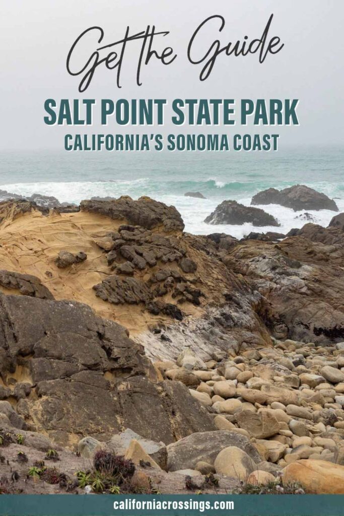 Salt Point State Park Sonoma County guide