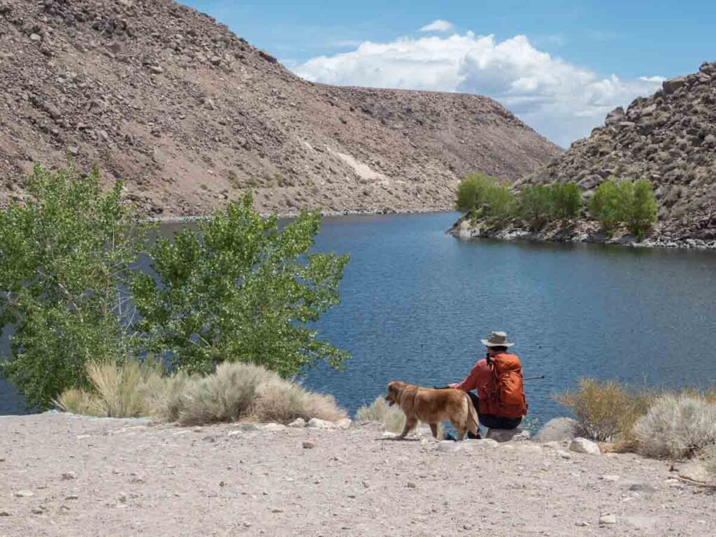 Pleasant Valley reservoir near Bishop CA. Man and dog at water