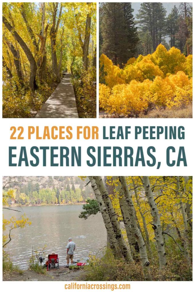 22 Places for fall color  Eastern Sierras California