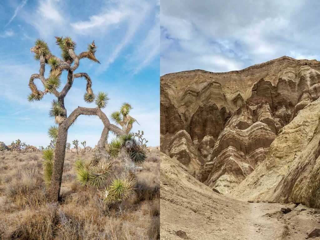 Joshua Tree to Death Valley (desert landscape) 