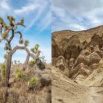Joshua Tree to Death Valley Road Trip: 19 Key Stops & Routing