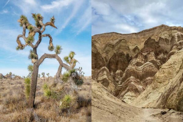 Joshua Tree to Death Valley (desert landscape)