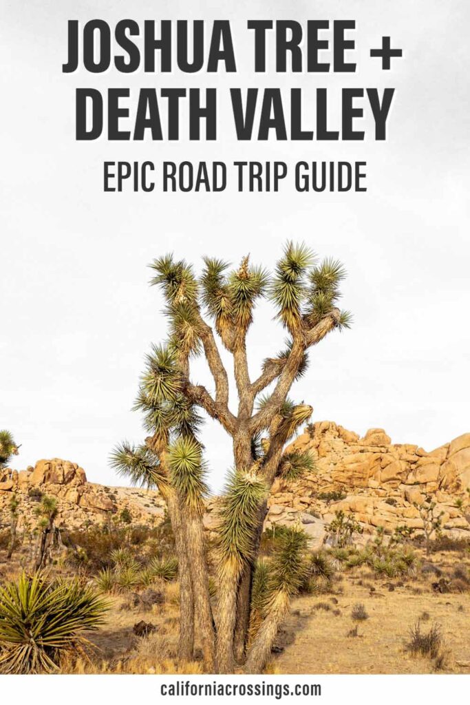 Joshua Tree to Death Valley epic road trip guide