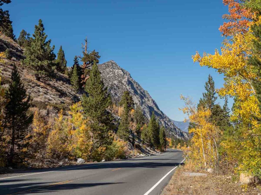 Rock Creek Canyon fall color