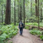 The Closest Airport to Redwood National Park (It's Complicated!)